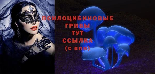 ECSTASY Надым