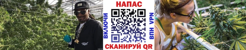 Бошки Шишки конопля Щучье